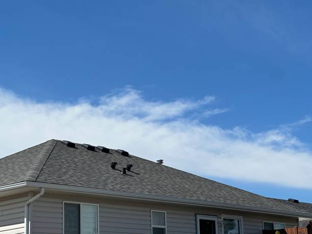 Best Roof Insulation Installation  in Mccom, OH